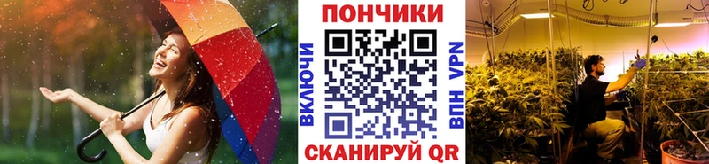 МАРИХУАНА White Widow  Купить  Ленинградская 